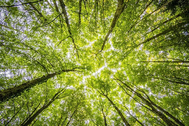 Green Investing Green Investing