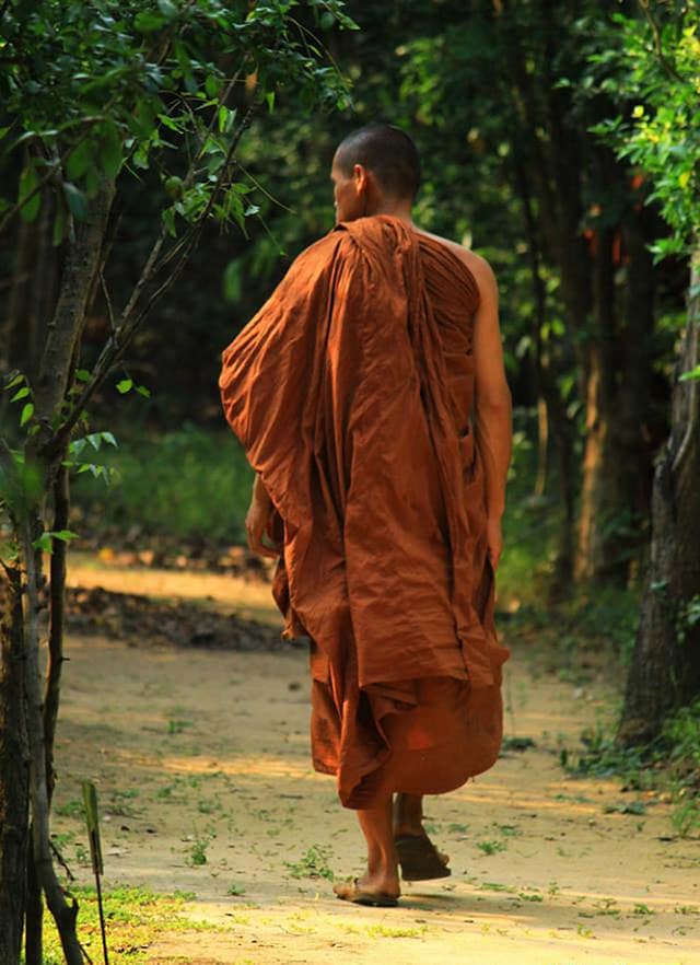 Shaolin Sacrifice: How ditching your car can save you Half a Million! Shaolin Sacrifice: How ditching your car can save you Half a Million!